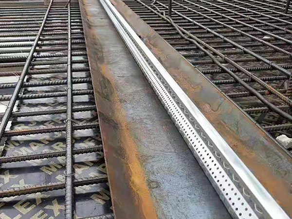 止水魚鱗網-案例